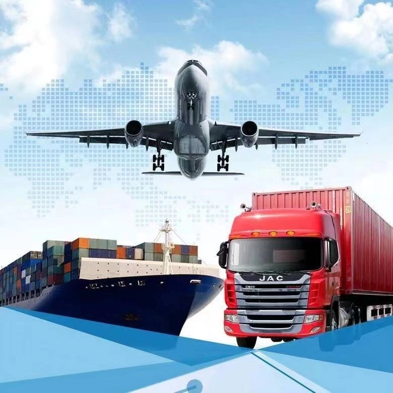 Import and export customs clearance/warehouse service/Truck service in Shanghai